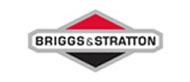 Briggs & Stratton